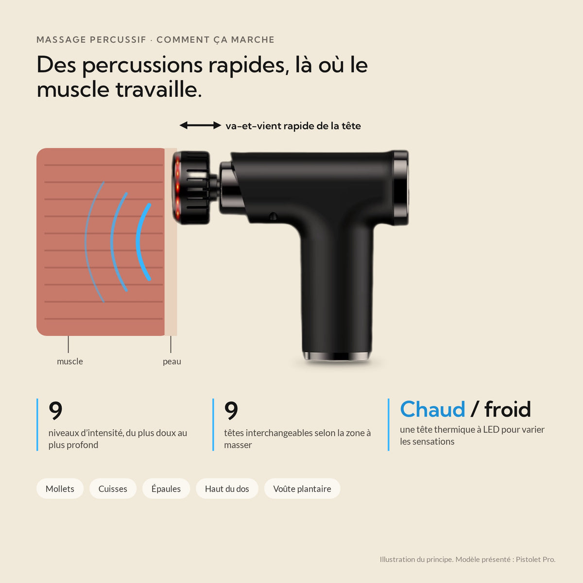 Schéma du massage percussif : la tête du pistolet va et vient rapidement contre le muscle